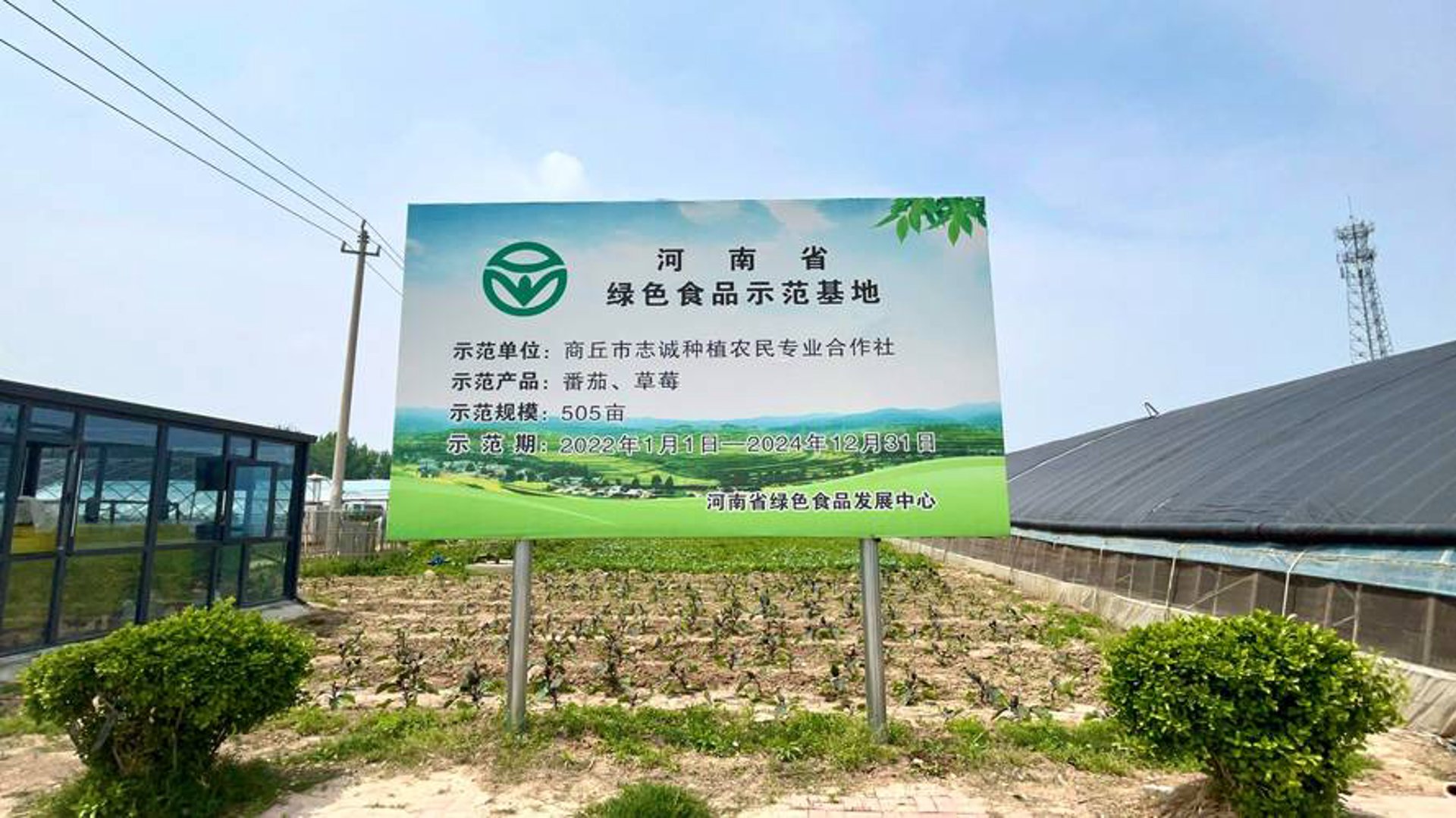 效强种植合作社